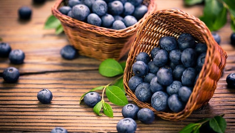 Việt quất (blueberry) là loại quả giàu chất chống oxy hóa, đặc biệt là anthocyanin